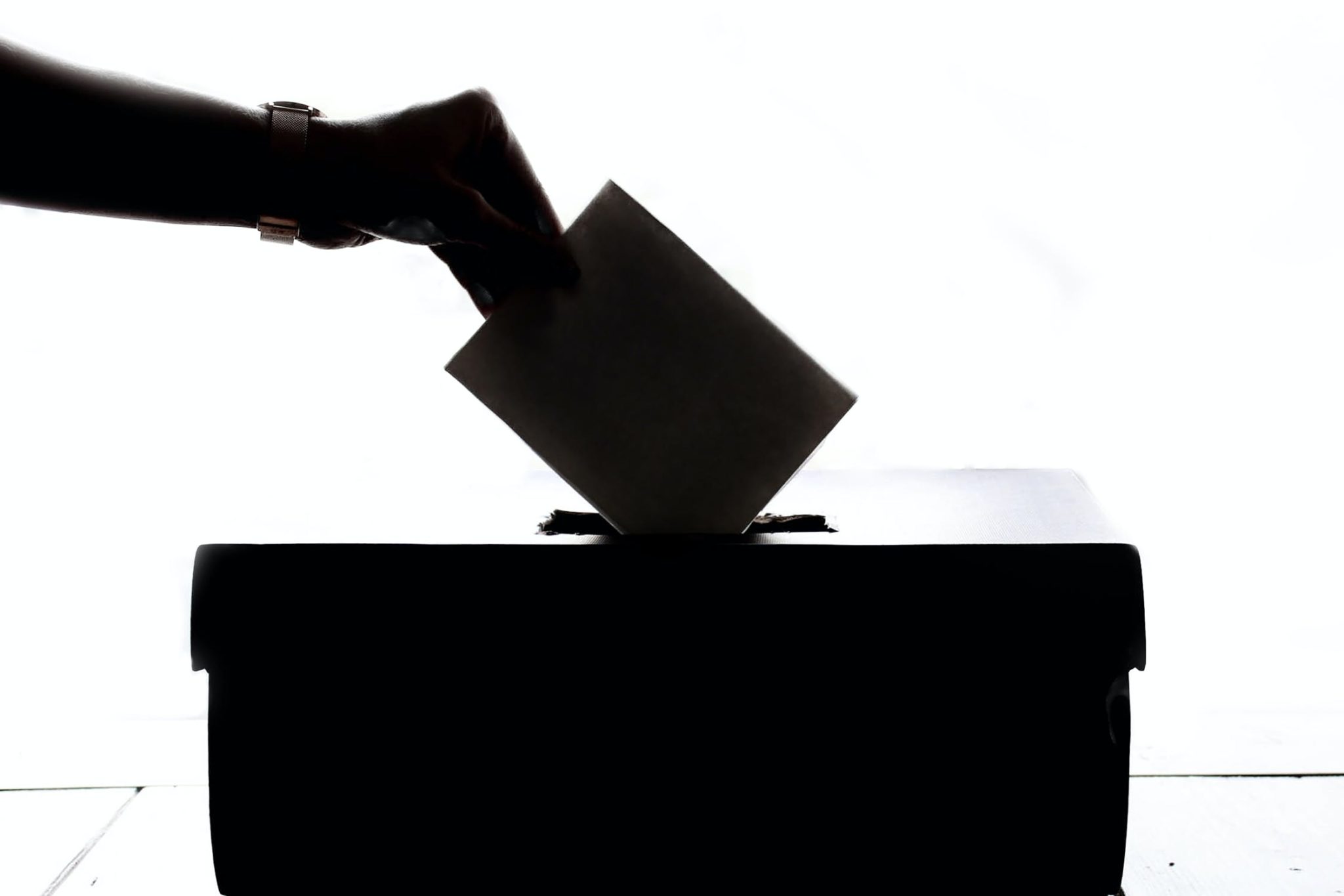 Elezioni 2021